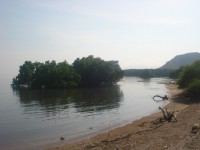 /album/biologia-/dili-dez2012-24-jpg/